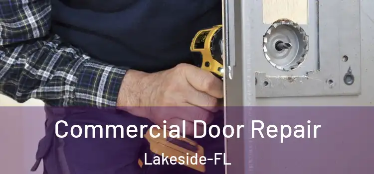  Commercial Door Repair Lakeside-FL